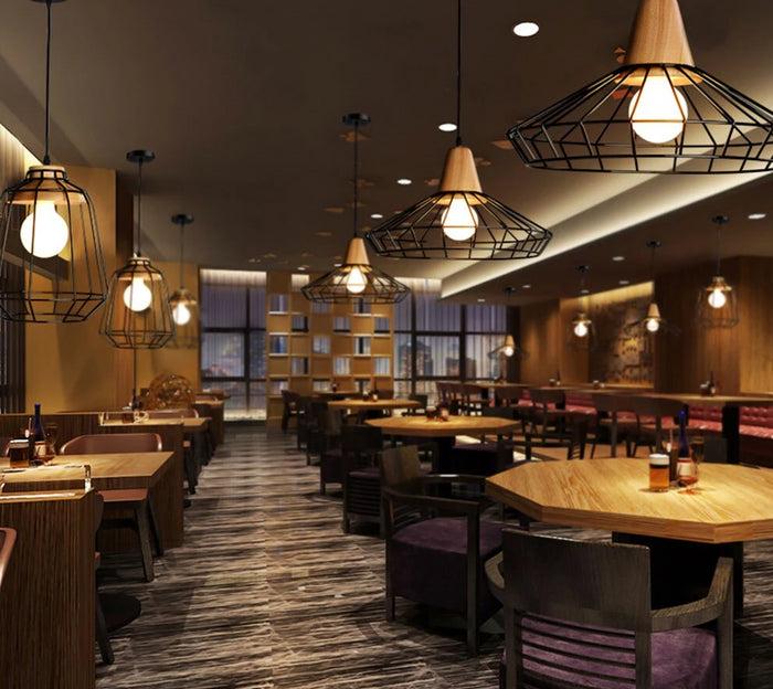 Decoramo Modern Nordic Wrought Iron Hanging Cage Lamp