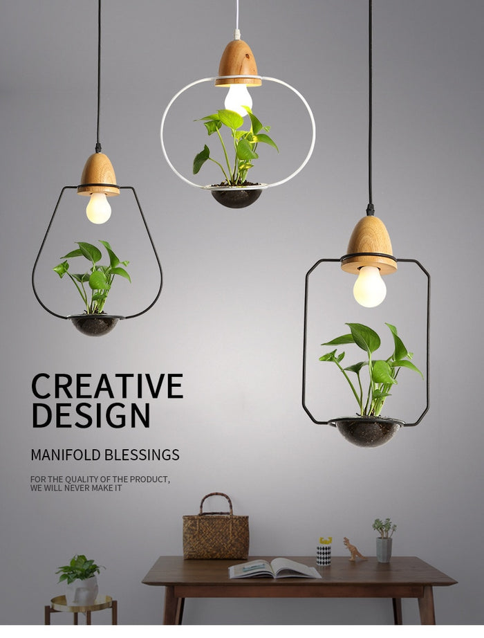 Decoramo Zox - Modern Nordic Iron Pendant Planter Lamp