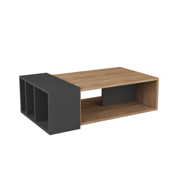 Decortie Anita Modern Multipurpose Coffee Table