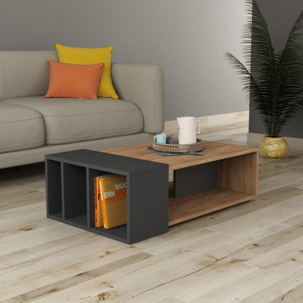 decortie Anita Modern Multipurpose Coffee Table