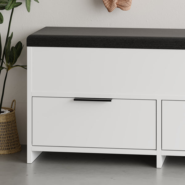 Decortie Cove Modern Shoe Storage Bench