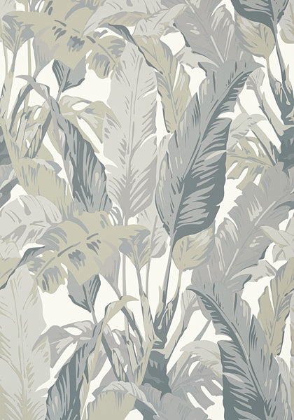 Dekowe Thibaut Palm Print Wallpaper