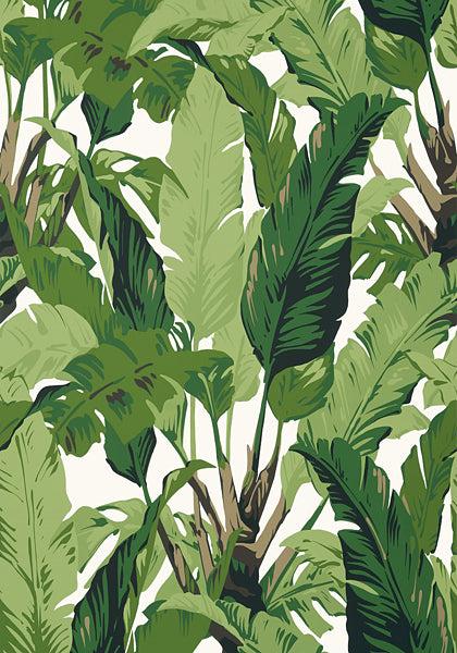 dekowe Thibaut Palm Print Wallpaper