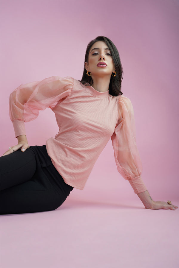 Delan Organza Puff Sleeve Top