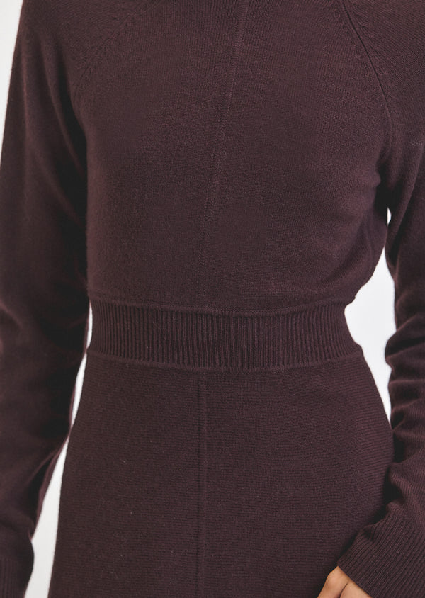 Derek Lam Bethany Long Sleeve Turtleneck Dress Aubergine
