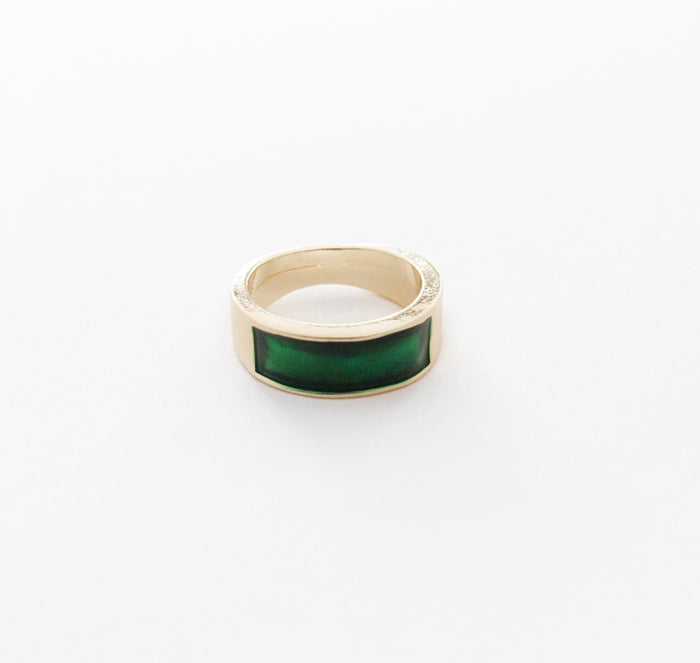 designb Green Enamel Signet Ring in Gold