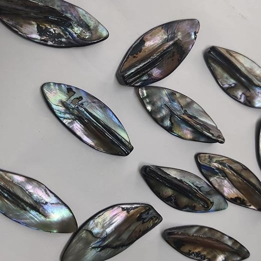 designerbox Leaf Rainbow Shine Mother of Pearl top drilled breads Button for Fashion Designing for Shirts Pants Jackets Kurtis and Also Used for DIY Crafts (Grey Color Pack of 10 Size- 4.80cm )