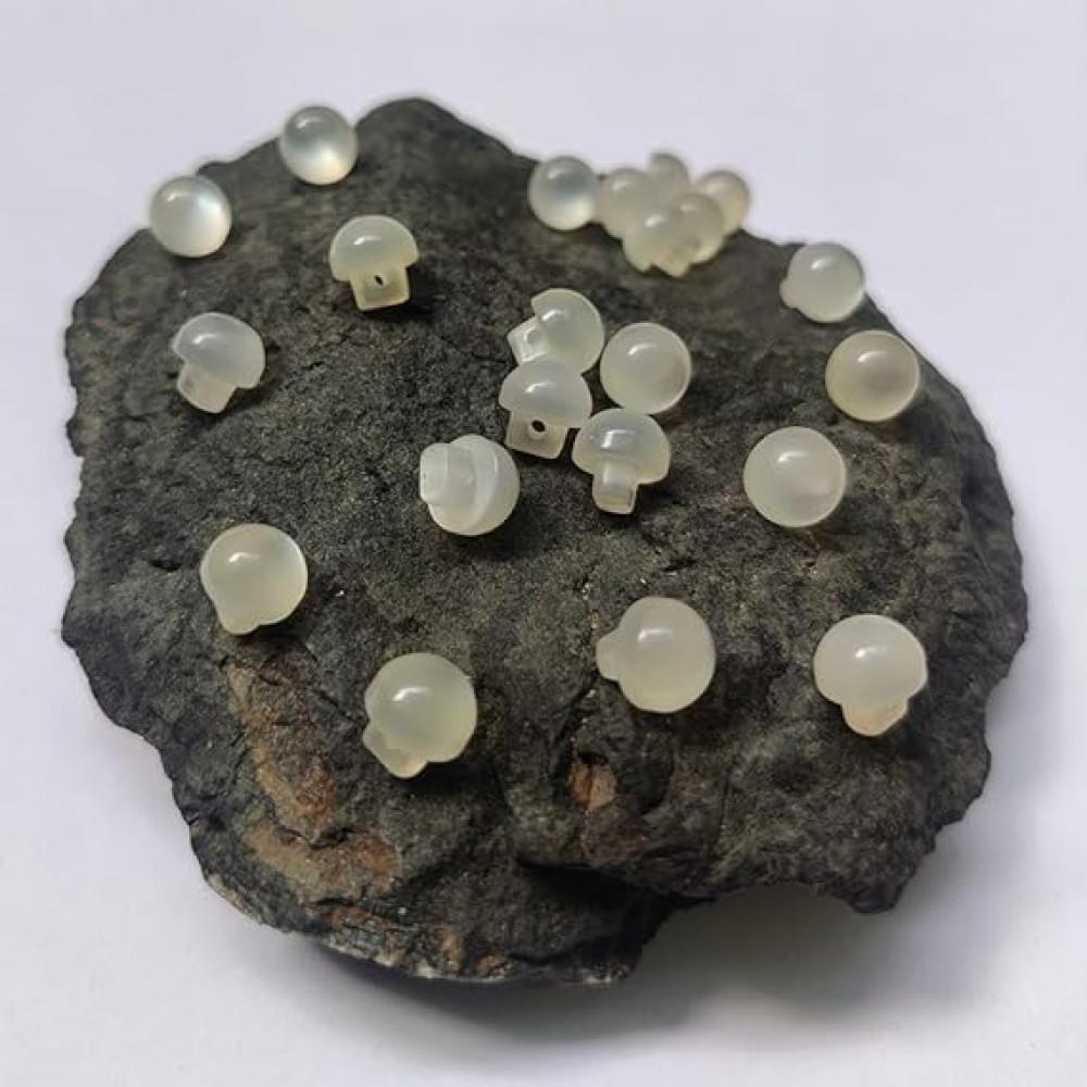 designerbox Transparent Shank Buttons Domed Resin Plastic Pearl Buttons Mushroom Shape with Hole for Sewing Clothing Dress Sweater Crafts DIY Jewelry Making Accessories Decorative (25)