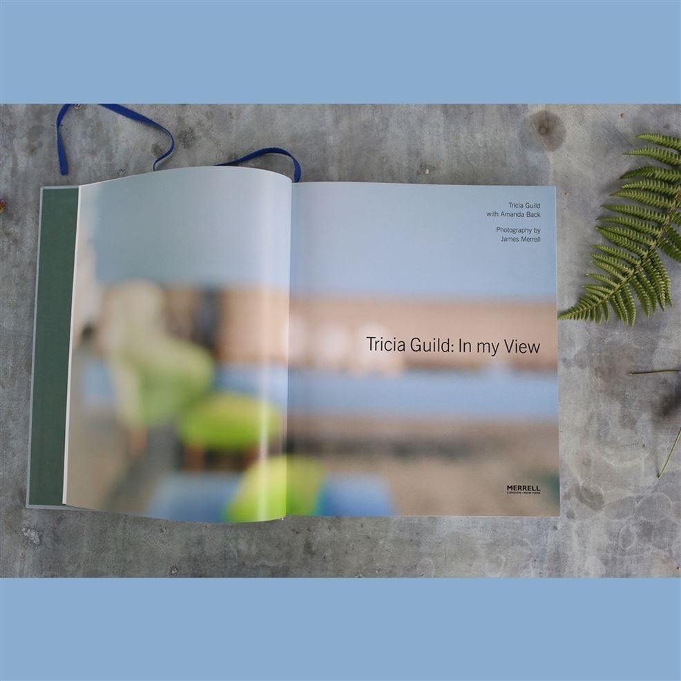 Designers Guild "In My View" By Tricia Guild