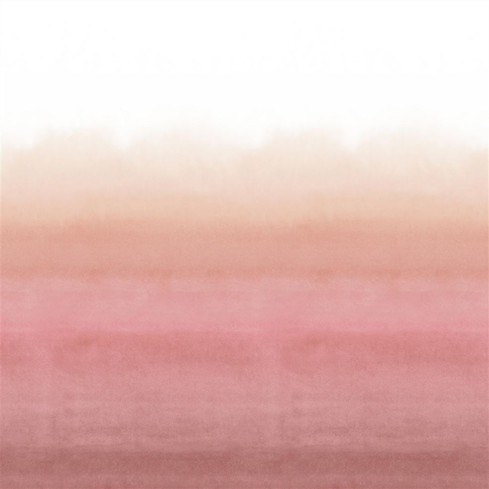 designers guild Shoshi Coral