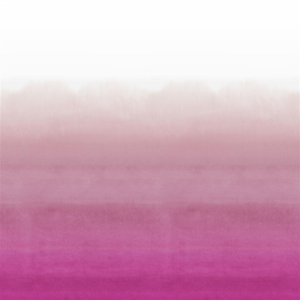 designers guild Shoshi Fuchsia