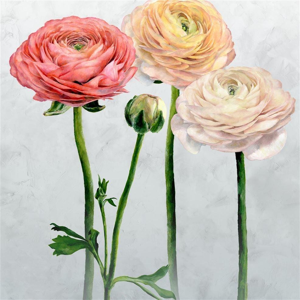 designers guild Tourangelle Scene 2 Peony