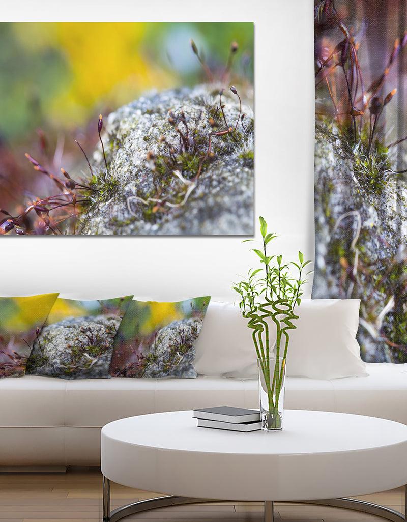 designq Abstract Composition of Moss Flowers - Modern Landscape Wall Art Canvas