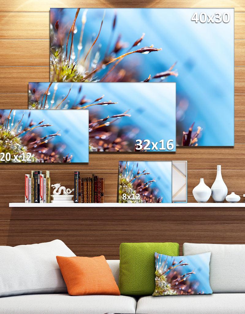 Designq Abstract Moss Flowers In Summer Spring - Landscape Art Print Canvas