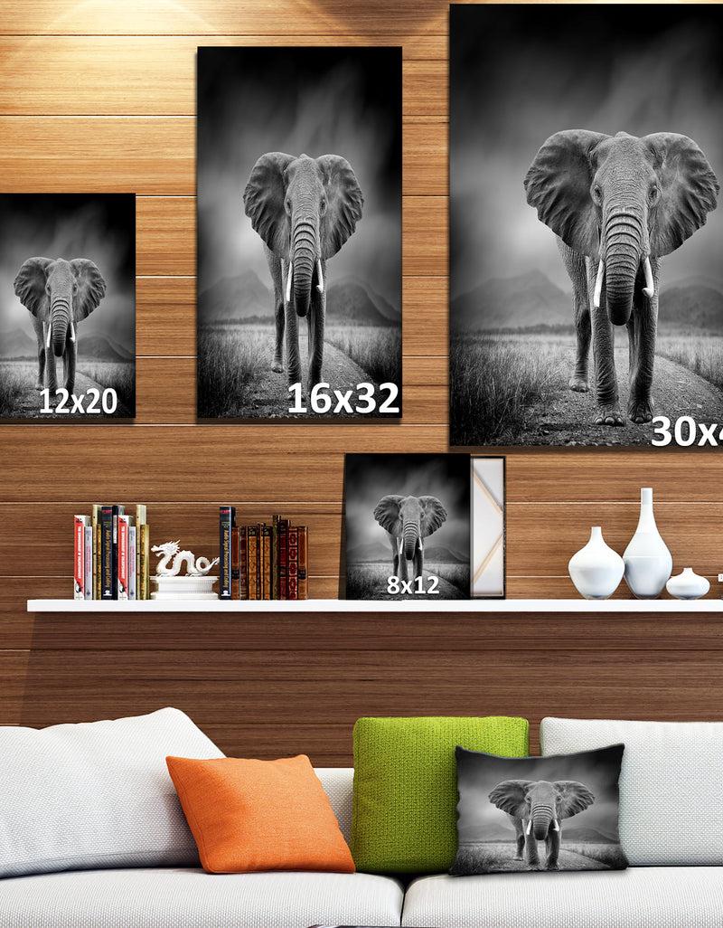 Designq African Elephant In Dark Background - Africa Animals Photography On Wrapped Canvas