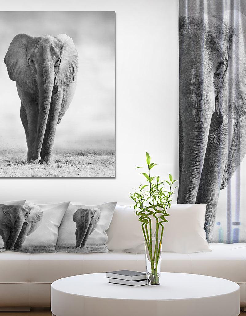 designq African Elephant in the Wild - Africa Animals Photography on Wrapped Canvas