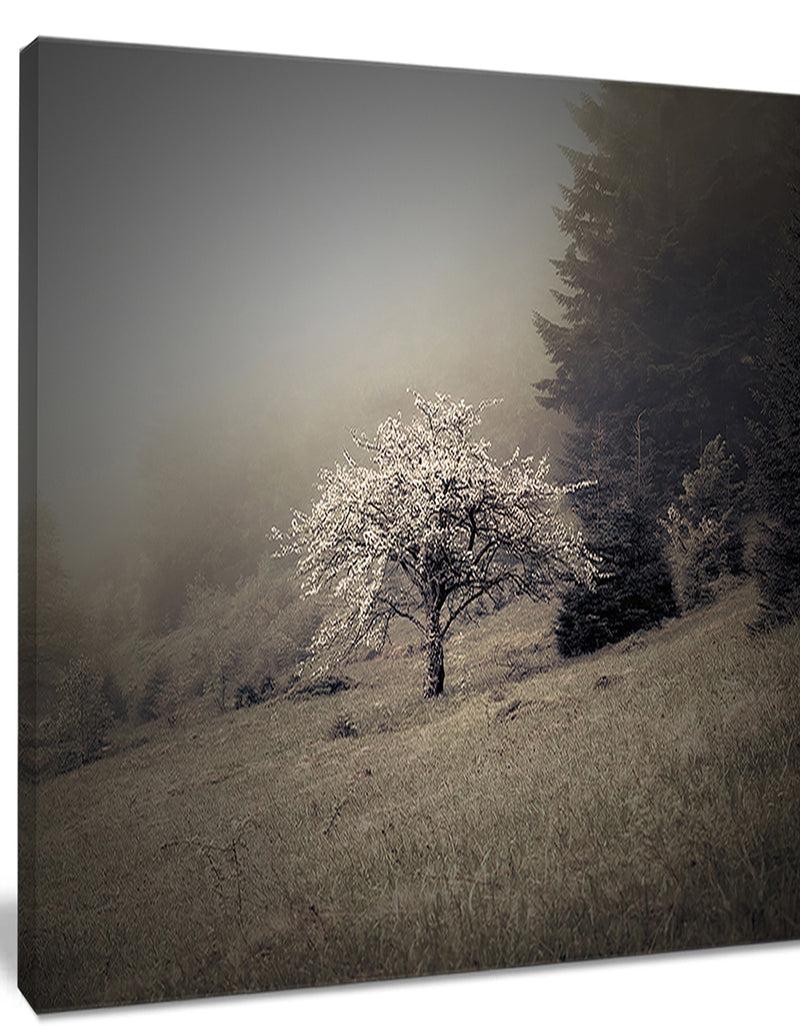 Designq Apple Tree Vintage Style - Landscape Photo Canvas Art Print