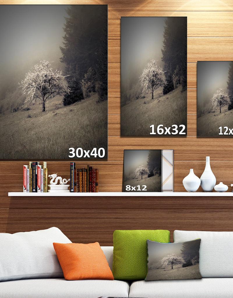 Designq Apple Tree Vintage Style - Landscape Photo Canvas Art Print