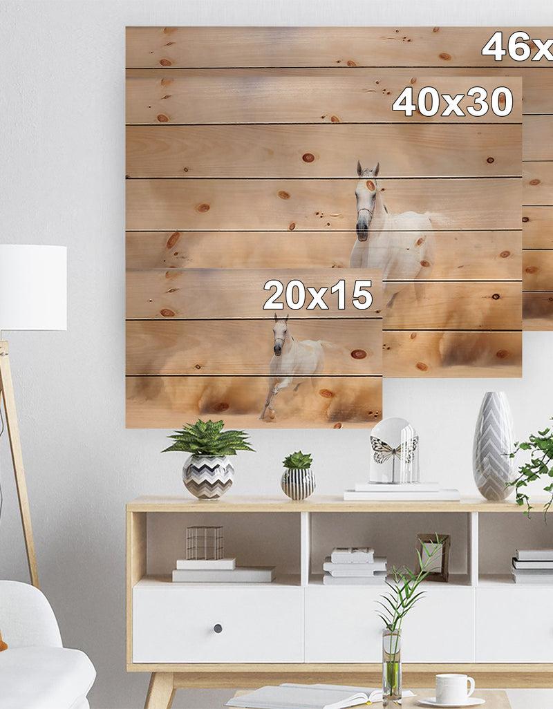 Designq Arabian Horse In Desert Storm - Photography Print On Natural Pine Wood