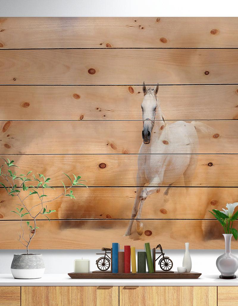 designq Arabian Horse in Desert Storm - Photography Print on Natural Pine Wood