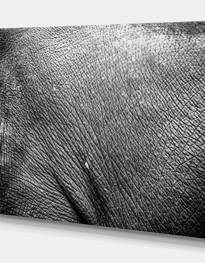 Designq Asia Elephant Skin - Africa Animals Photography On Wrapped Canvas