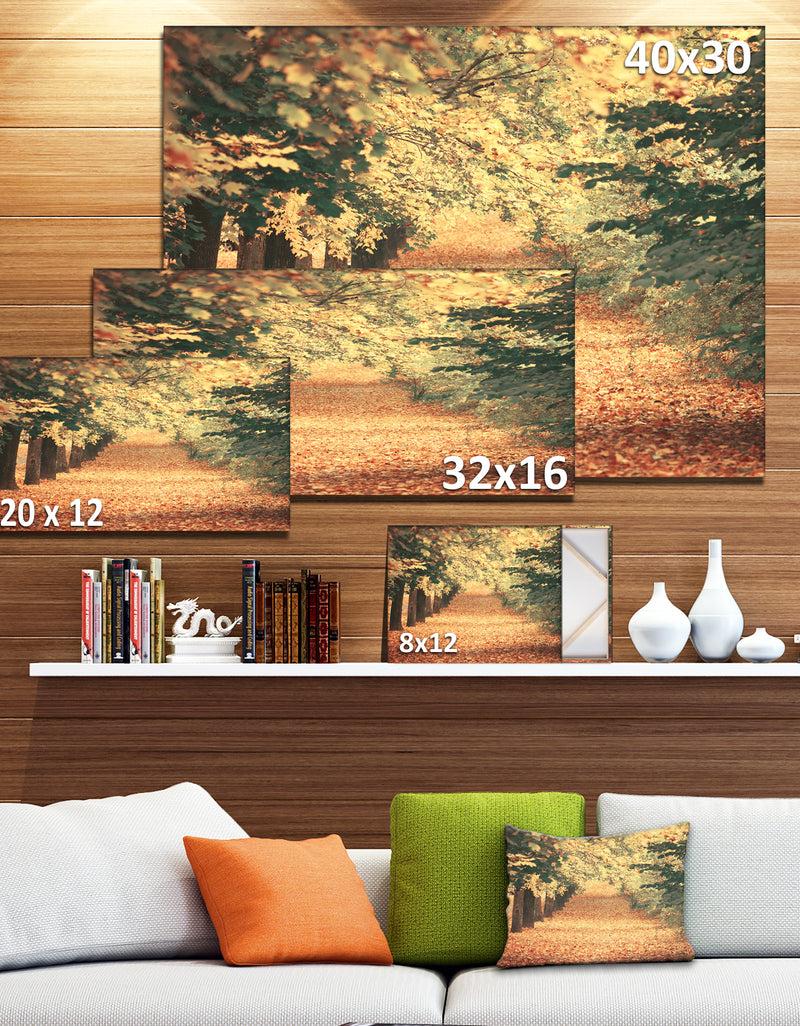 Designq Autumn Forest With Walking Path - Modern Forest Canvas Wall Art