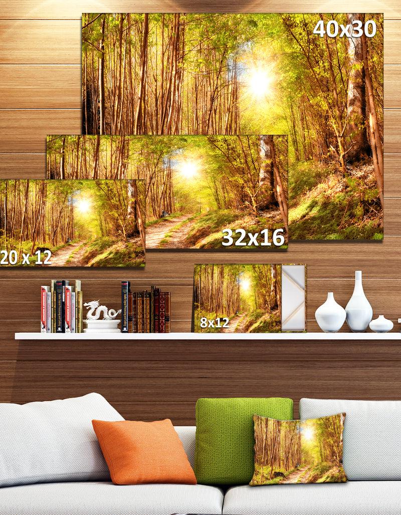 Designq Autumn In Denmark Photo- Landscape Canvas Print