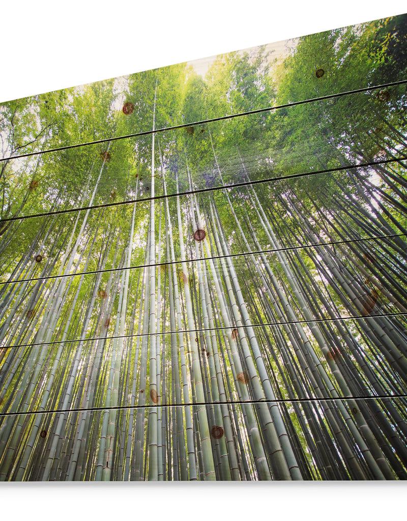 Designq Bamboo Forest Of Kyoto Japan. - Forest Print On Natural Pine Wood
