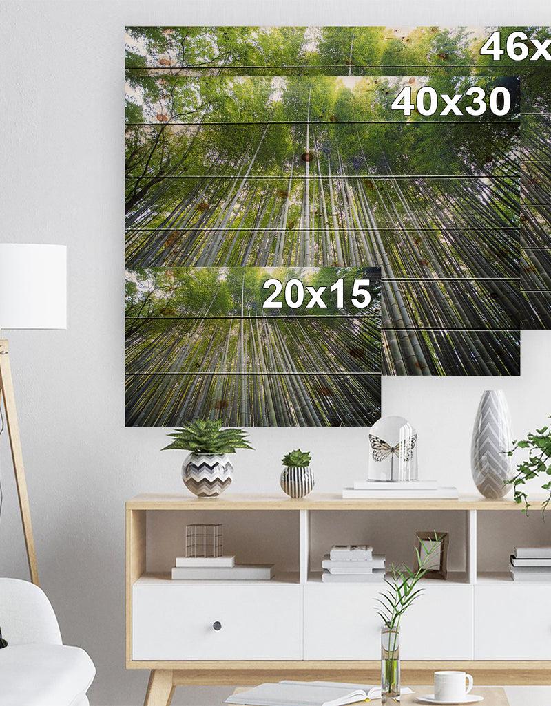 Designq Bamboo Forest Of Kyoto Japan. - Forest Print On Natural Pine Wood