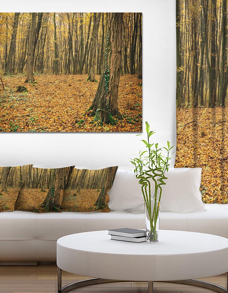 designq Beautiful Autumn Forest in Mountains - Modern Forest Canvas Art