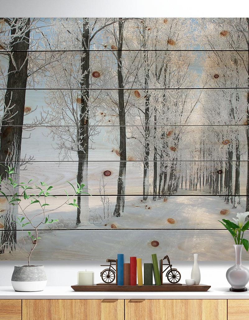 designq Beautiful Winter Forest Lane Photo - Forest Print on Natural Pine Wood