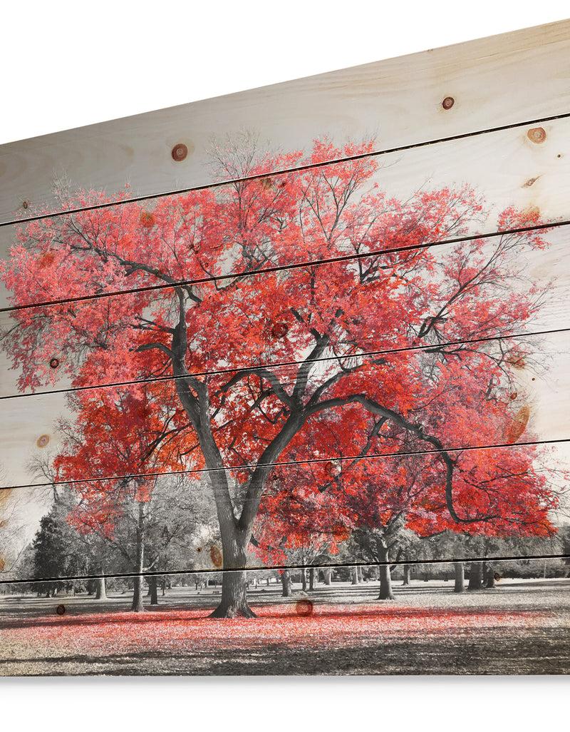 Designq Big Red Tree On Foggy Day - Landscape Print On Natural Pine Wood