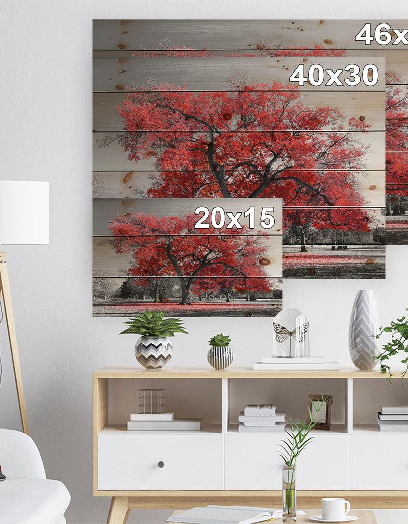Designq Big Red Tree On Foggy Day - Landscape Print On Natural Pine Wood