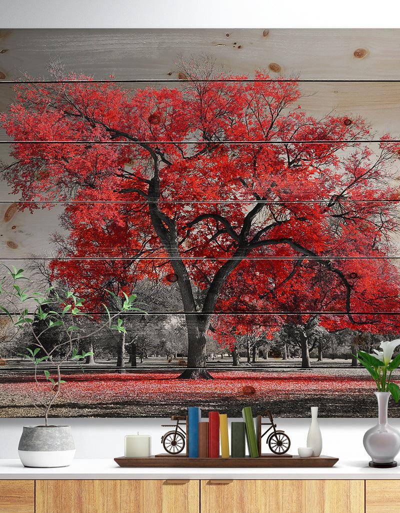 designq Big Red Tree on Foggy Day - Landscape Print on Natural Pine Wood