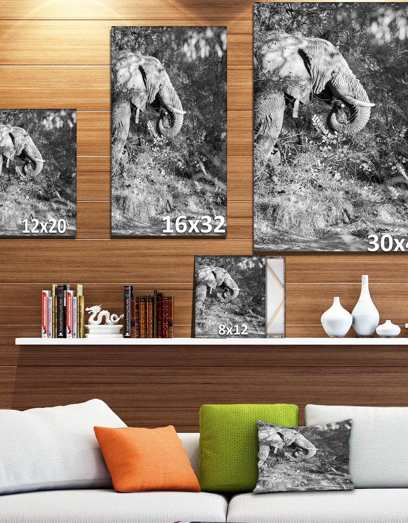 Designq Black And White Elephant - Africa Animals Painting Print On Wrapped Canvas
