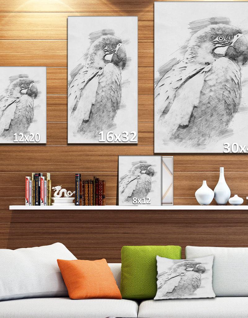 Designq Black And White Parrot Pencil Sketch - Animals Painting Print On Wrapped Canvas