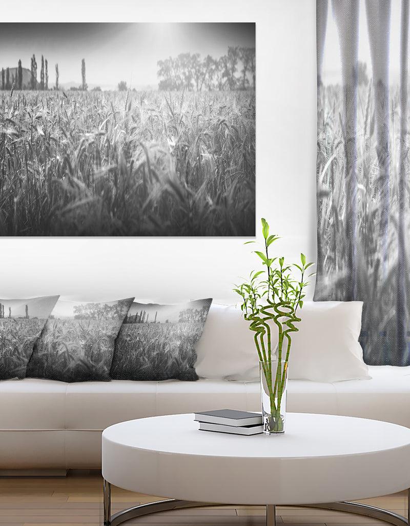 designq Black and White Wheat Field - Landscape Wall Art Canvas Print
