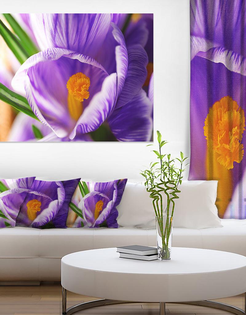 designq Blooming Crocus Flower - Large Floral Wall Art Canvas