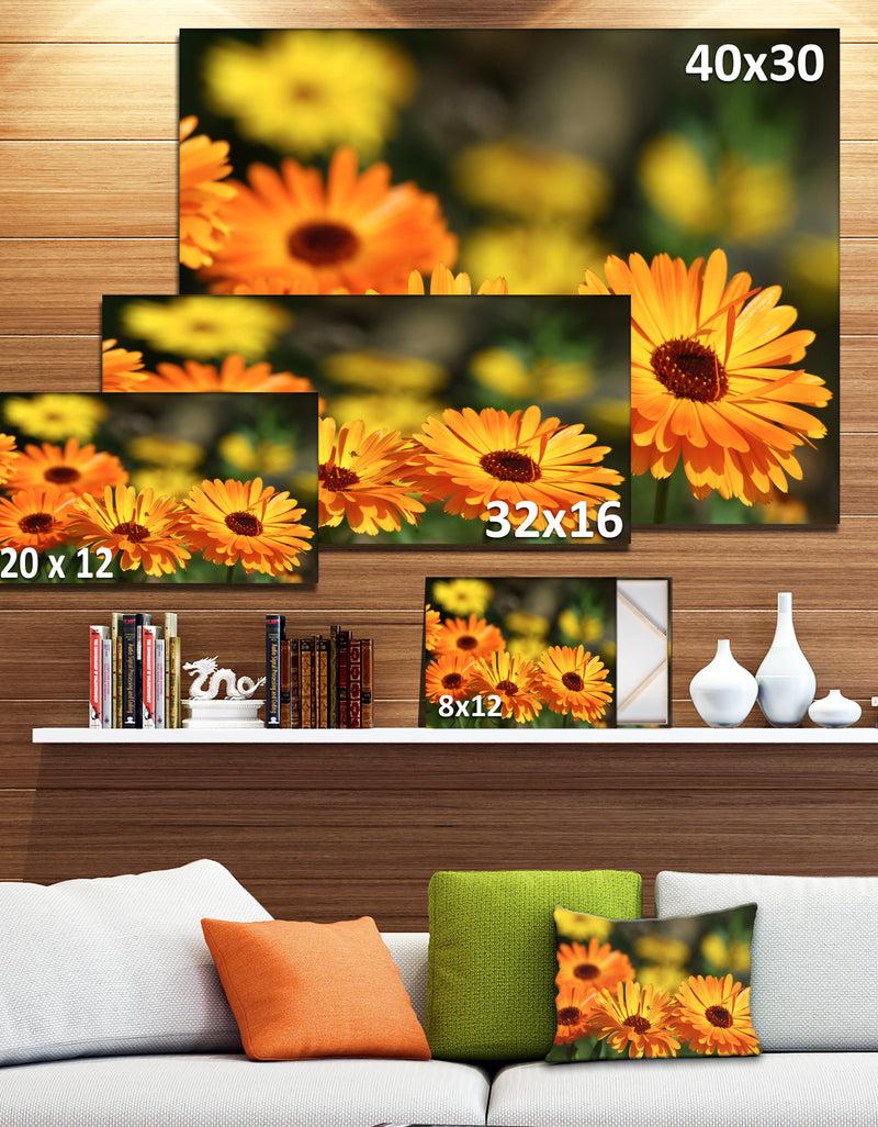 Designq Blooming Orange Marigold Flowers - Extra Large Floral Canvas Art