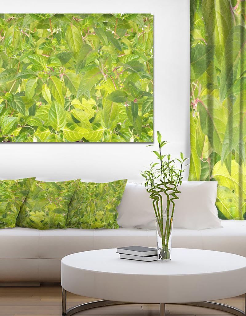 designq Bright Fuchsia Green Foliage - Modern Floral Large Canvas Art