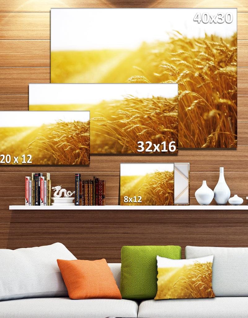 Designq Bright Sunset Over Wheat Field - Landscape Canvas Wall Artwork