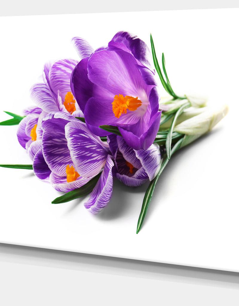Designq Bunch Of Blooming Crocus Flowers - Large Floral Wall Art Canvas
