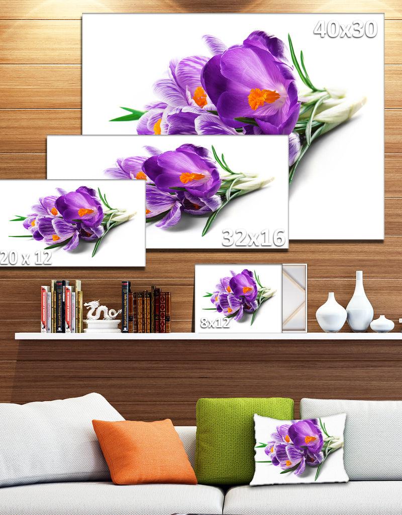 Designq Bunch Of Blooming Crocus Flowers - Large Floral Wall Art Canvas