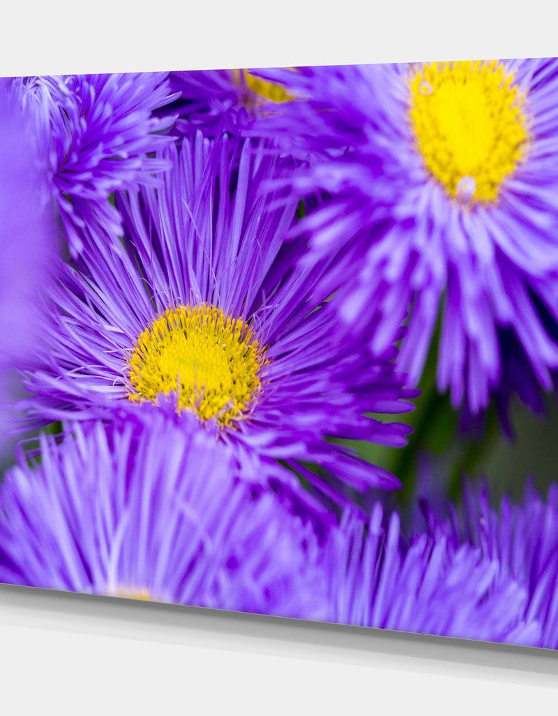 Designq Bunch Of Large Violet Flowers - Large Flower Canvas Wall Art