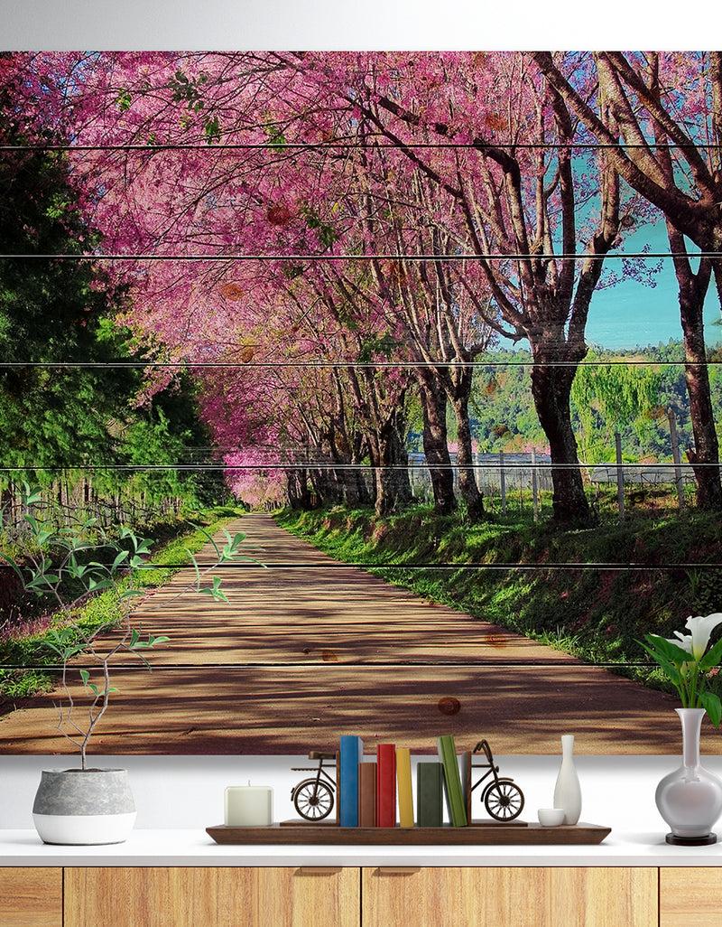 designq Cherry Blossom Pathway in Chiang Mai - Landscape Print on Natural Pine Wood
