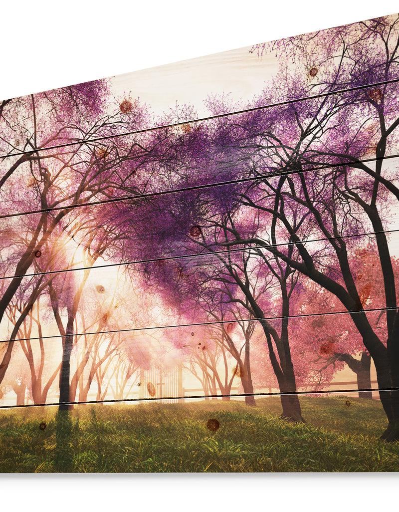 Designq Cherry Blossoms Japan Garden - Landscape Print On Natural Pine Wood