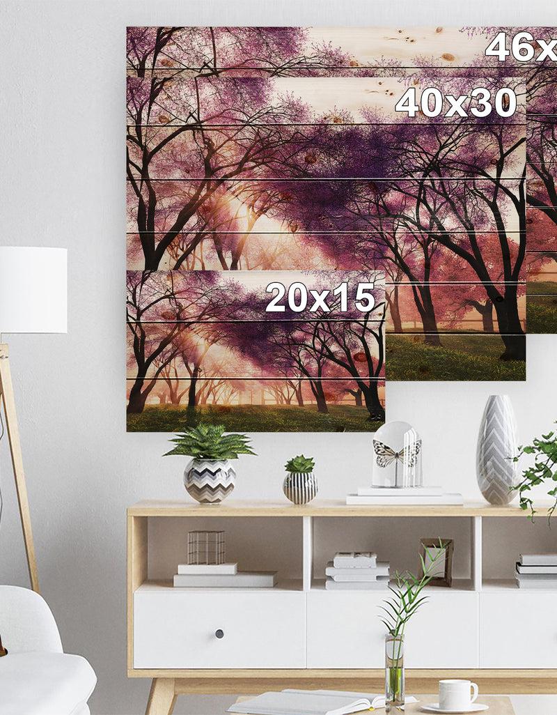 Designq Cherry Blossoms Japan Garden - Landscape Print On Natural Pine Wood