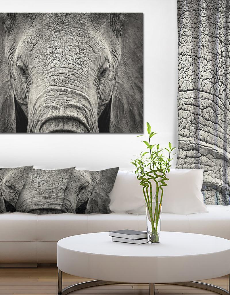designq Close up African Elephant - Africa Animals Photography on Wrapped Canvas