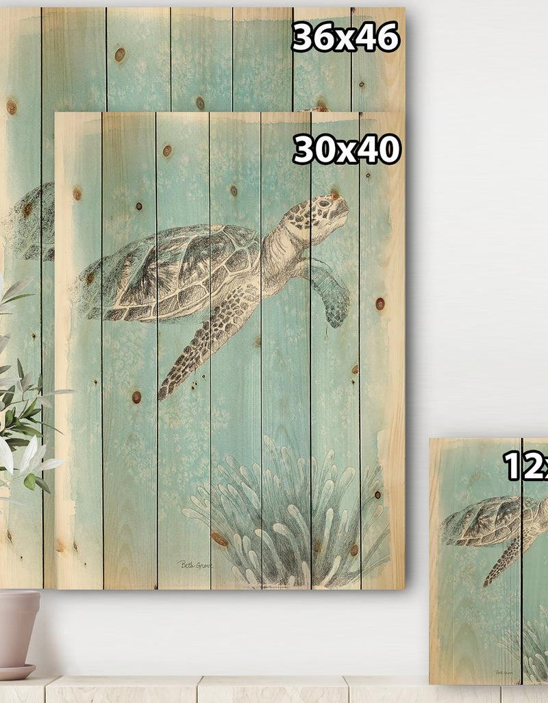 Designq Coastal Sea Life I Turtle Sketches - Nautical & Coastal Print On Natural Pine Wood