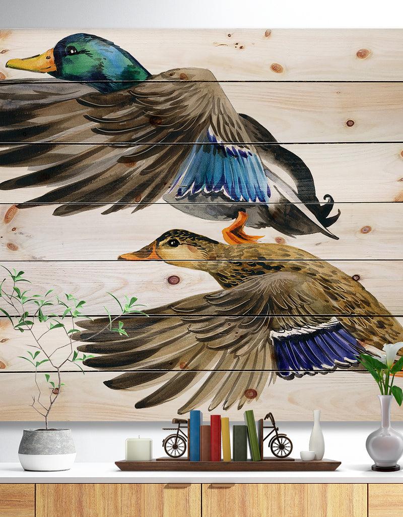 designq Colored Duck isolated on white background - Sketch of Farmhouse Animals of Painting Print on Natural Pine Wood